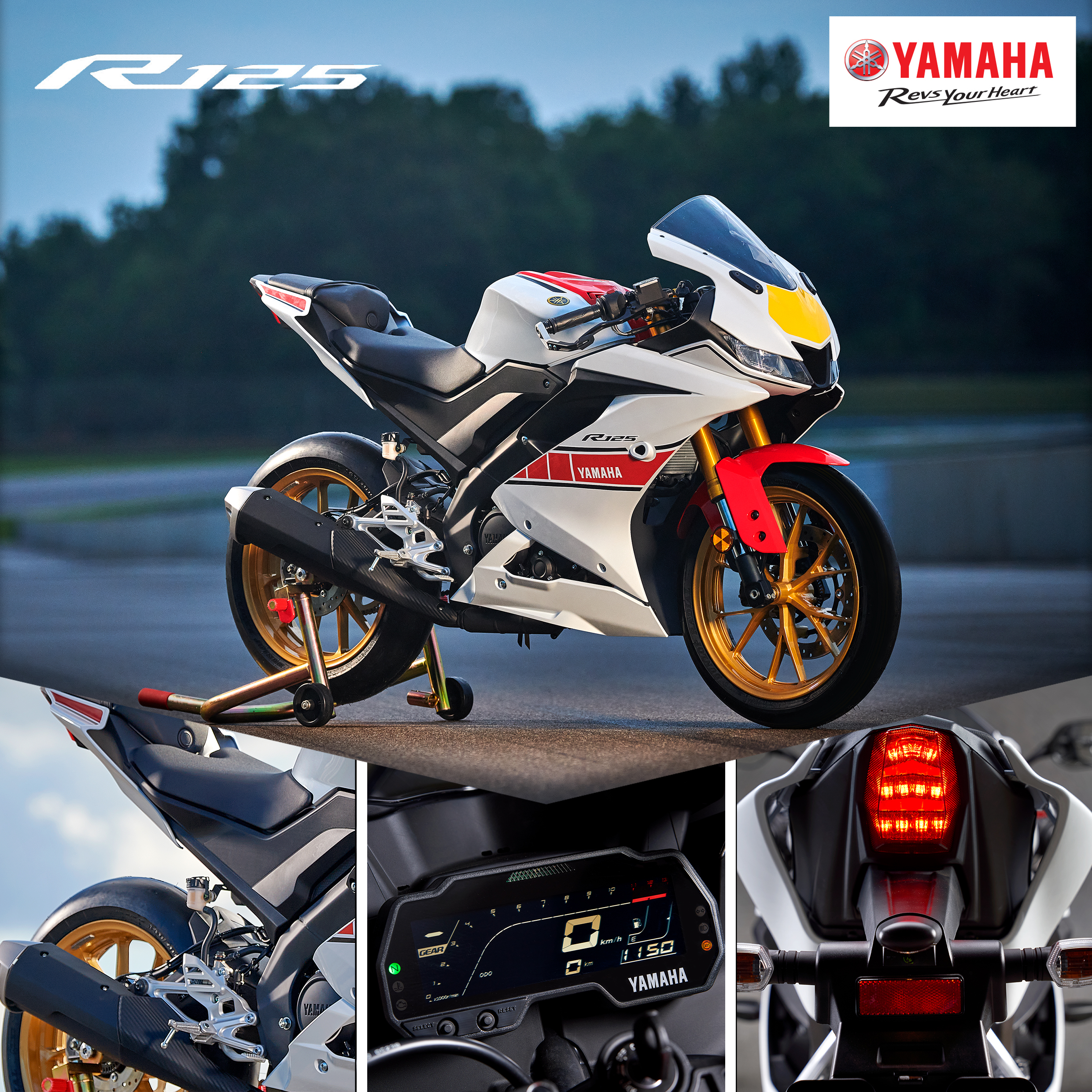 Yamaha R125 WGP Yamaha R125 WGP